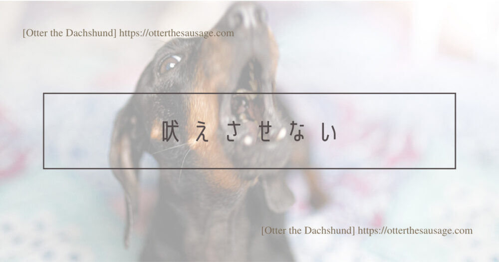 Blog Header image_犬と旅行_犬連れ旅行_travel tips for riding on the bullet train with dogs_Otter the Dachshund_犬連れ新幹線の乗り方完全マニュアル_吠えさせない